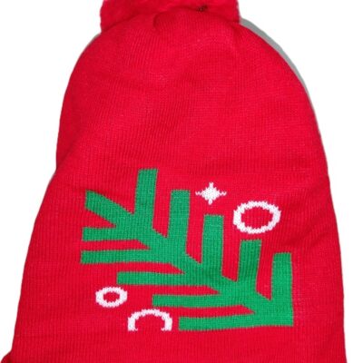Christmas hat
